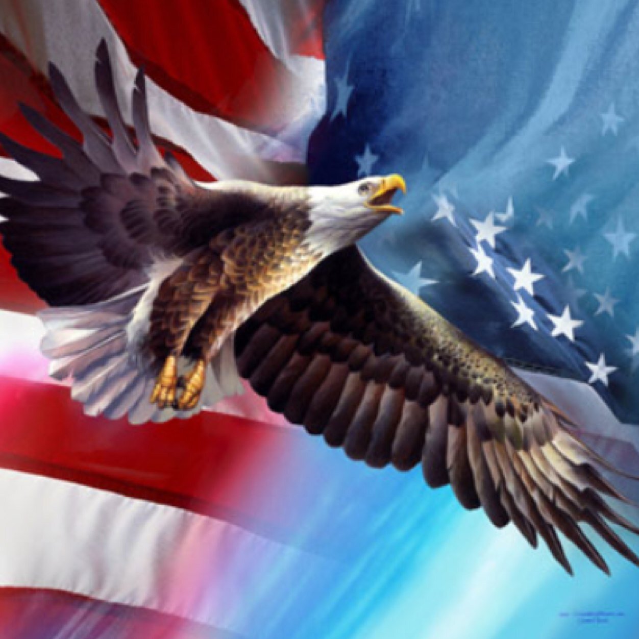 americastruggle's profile picture. The Reallness of America....