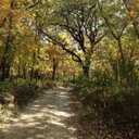 lisa bowker - @LMBowker - Twitter