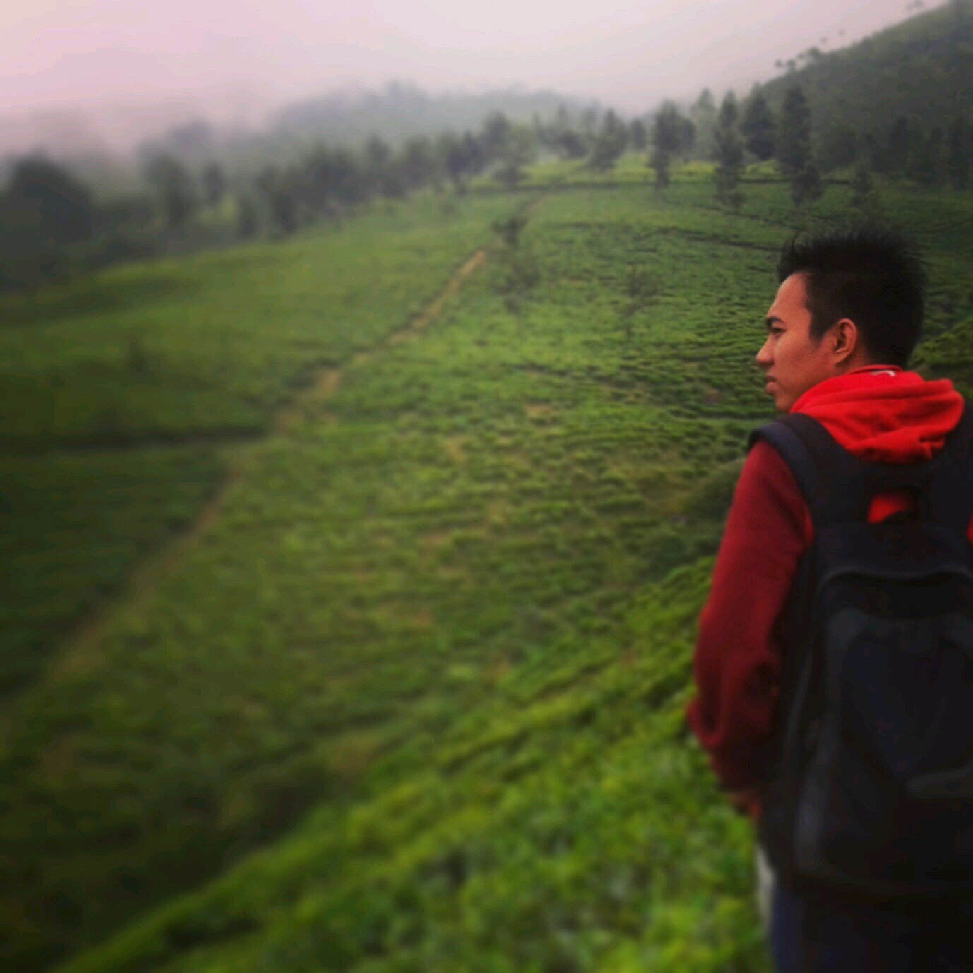 smangt