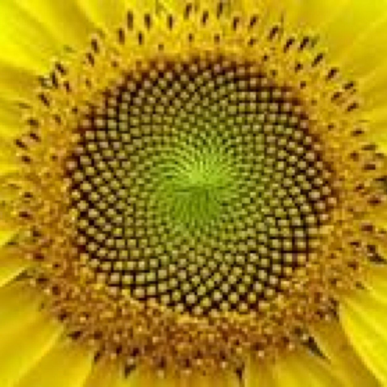 LoveWinsQuotes's profile picture. we can all use a little encouragement.