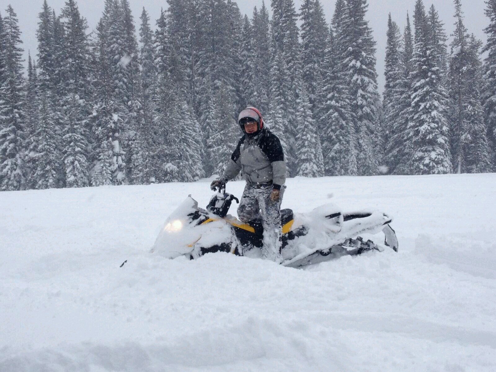 PhillZayas's profile picture. NJ native. Florida transplant. Oh....and I love beer.