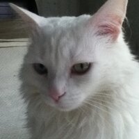 Tyler Davis (@tylerjamesdavis) 's Twitter Profile Photo