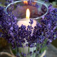 Gloria Teresa (@abba_) 's Twitter Profile