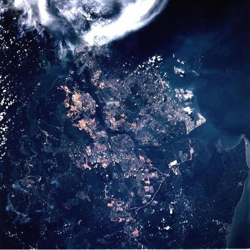 pacificxpat's profile picture. I am just over here, on the other side of our pretty blue ball