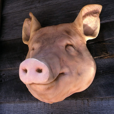 commentout's profile picture. 2021年09月 HP OMEN30L(Core i7, RAM32GB, RTX3080)
2024年12月 Honda CB650R E-Clutch
2025年11月 Honda GROM