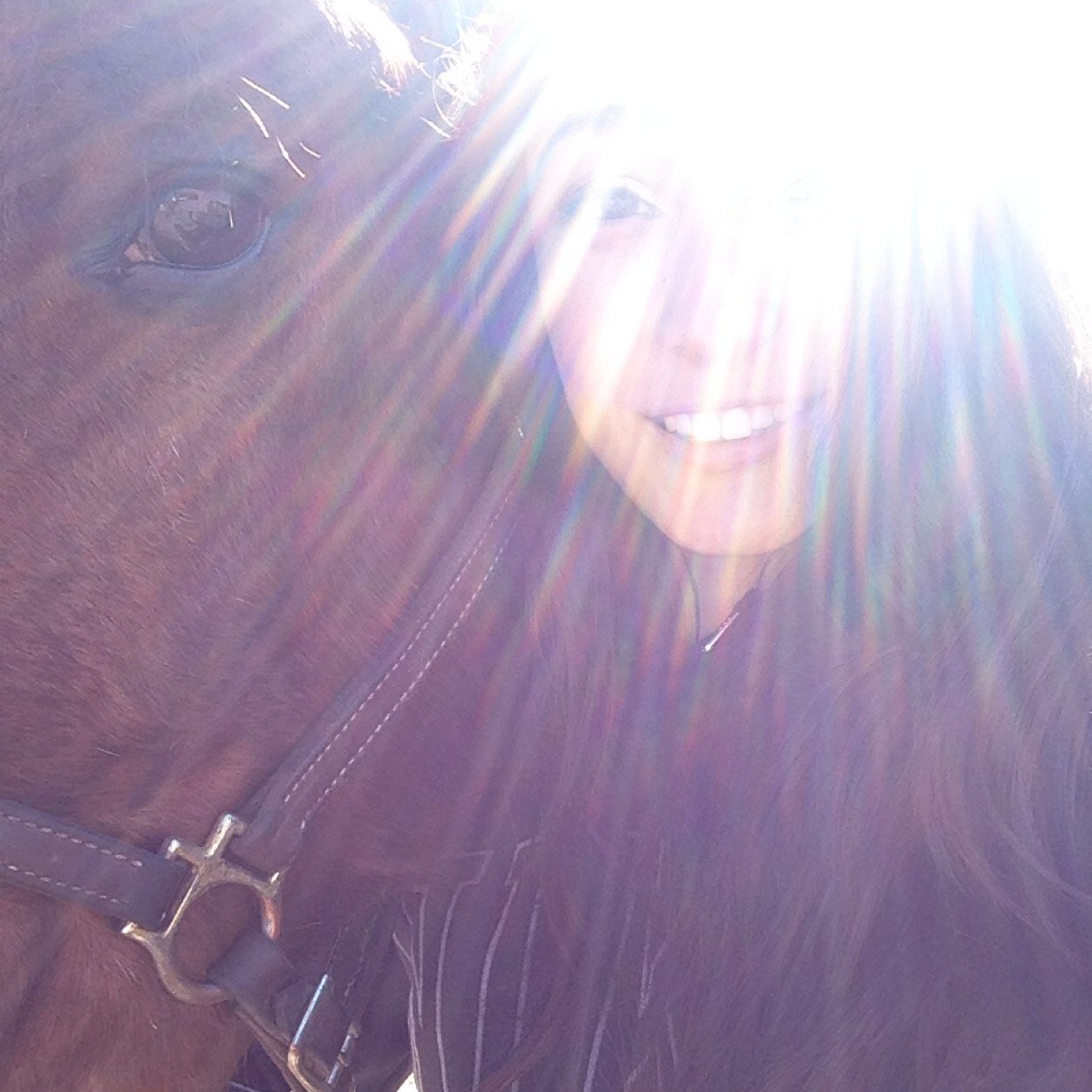 16. Junior. Horses are my life, I've got big rodeo dreams. Cowgirl up or go sit in the truck. #teamford #teamcummins judge me❤️