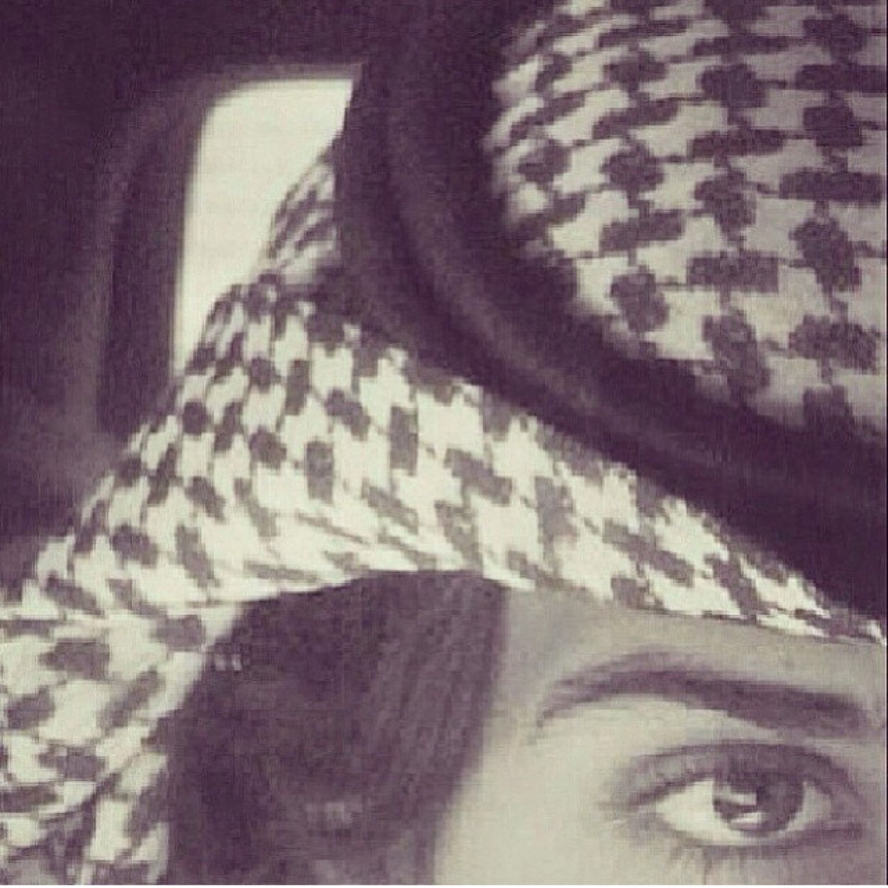 Inst:al_sh3er