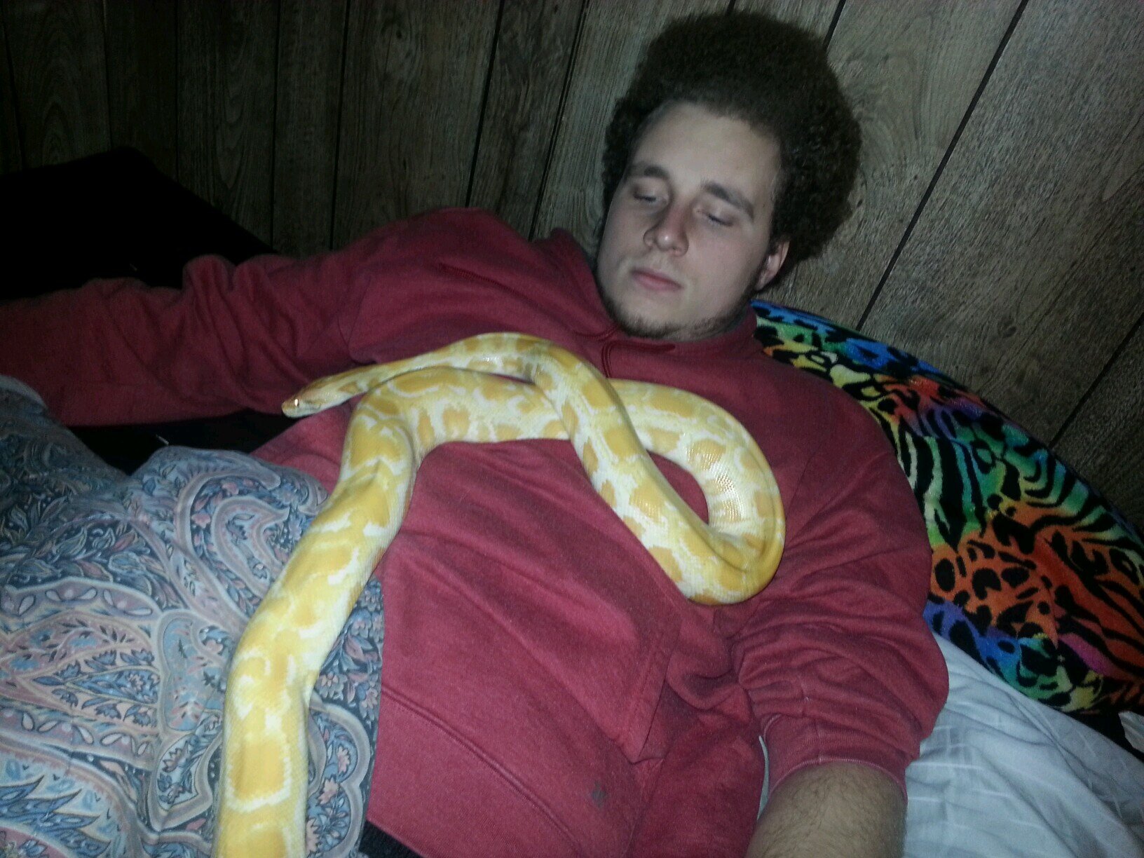 Shaneberlain's profile picture. 