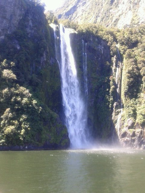 ostrovanz's profile picture. Твиттер компании Острова Новая Зеландия.