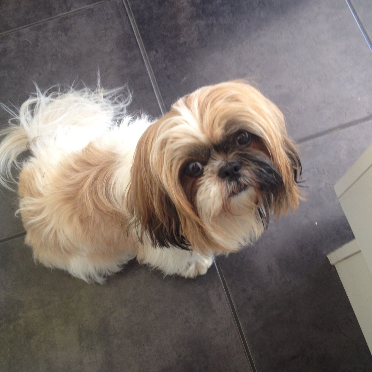 dawndear652's profile picture. 