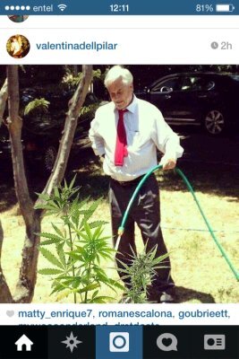 MM_MejoresMemes's profile picture. Los mejores memes!