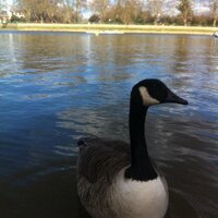 Lily Coffee (@lily_coffee) 's Twitter Profile