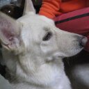 Ronnie Wu - @octapult_ronnie - Twitter