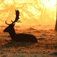 Tim Wragby(@TimWragby) 's Twitter Profile Photo