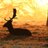 TimWragby's profile image
