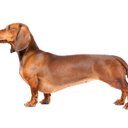 Trent Logan - @TrentLogan81 - Twitter