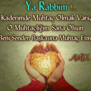 bolatakbar's profile picture. 