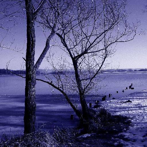 karmaflavi's profile picture. 