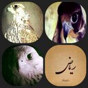 رياض نافل الدوسري - @al7hoop1 - Twitter