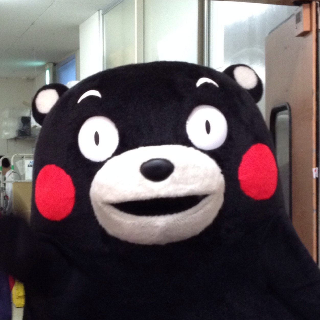 くまモン好き。ビリヤード好き。D・P にV Iシャフト。ちゃんと練習せなあきません。