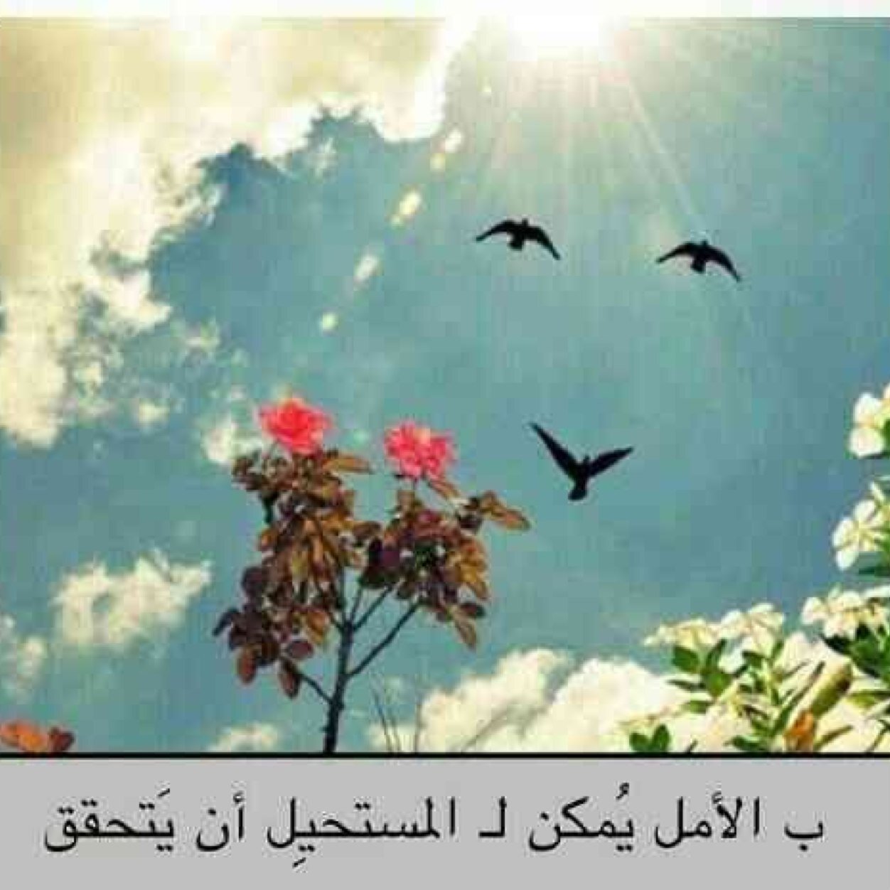 ٱڵٱحـــــٺرٱم ســـَڵــوڳكَ ,مٺبٱدڵ [ فڵٱ يمڳن , ( ٱن ٺجدھ )] من ٱڵٱخرين مٱڵم -ٺڦدمھ ڵھم .
