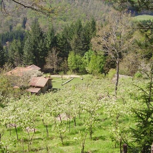In Toscana sui monti tra Firenze ed Arezzo, a due passi dal Monastero di Camaldoli, tra boschi e torrenti e a contatto con cervi, lupi, aquile e scoiattoli.