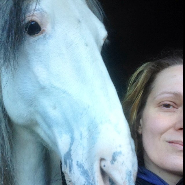 GloriaArcher's profile picture. Classical Dressage, Iberian Horses, Liberty Training