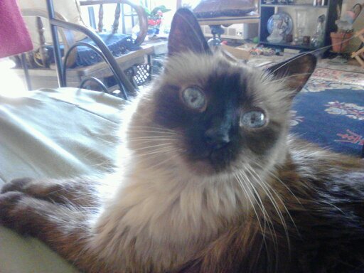 perezsenor73's profile picture. from science fiction to science fact ...and all the magical worlds between ! WHO -to - HAWKING.... give me a follow !