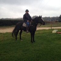 Madams Farm Polo and Pondfield Stud. (@madamsfarm) 's Twitter Profile