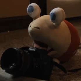 MrBulborb's profile picture. I take photographs on PNF-404.