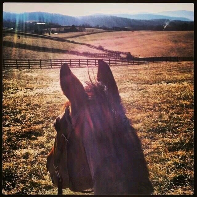 Washington & Lee Varsity Equestrian