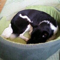 田中マン (@tanakaman2) / X