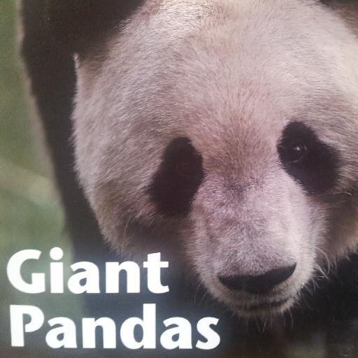 Dedicated to the conservation and the survival of the Giant Panda. News, biology, webcams,... The pandas need you! Conservation initiative of @WorldofZoology