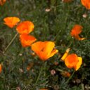 Mariah Baum - @BaumFha - Twitter