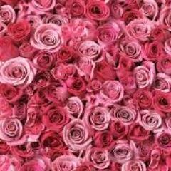 Qualified & Experienced Florist offering unique bridal bouquets & more!