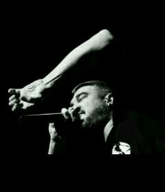 violadoporverso's profile picture. 