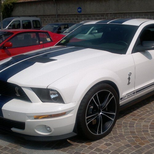 TripoliDavide's profile picture. 