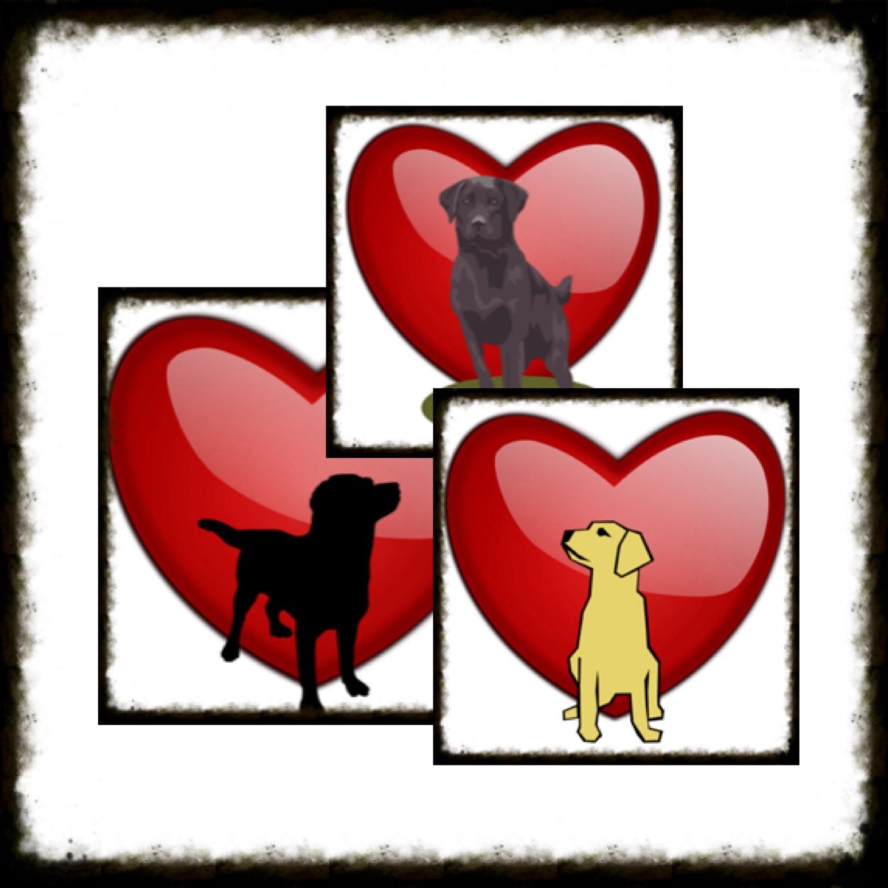 find us on facebook ' crazy labrador people.