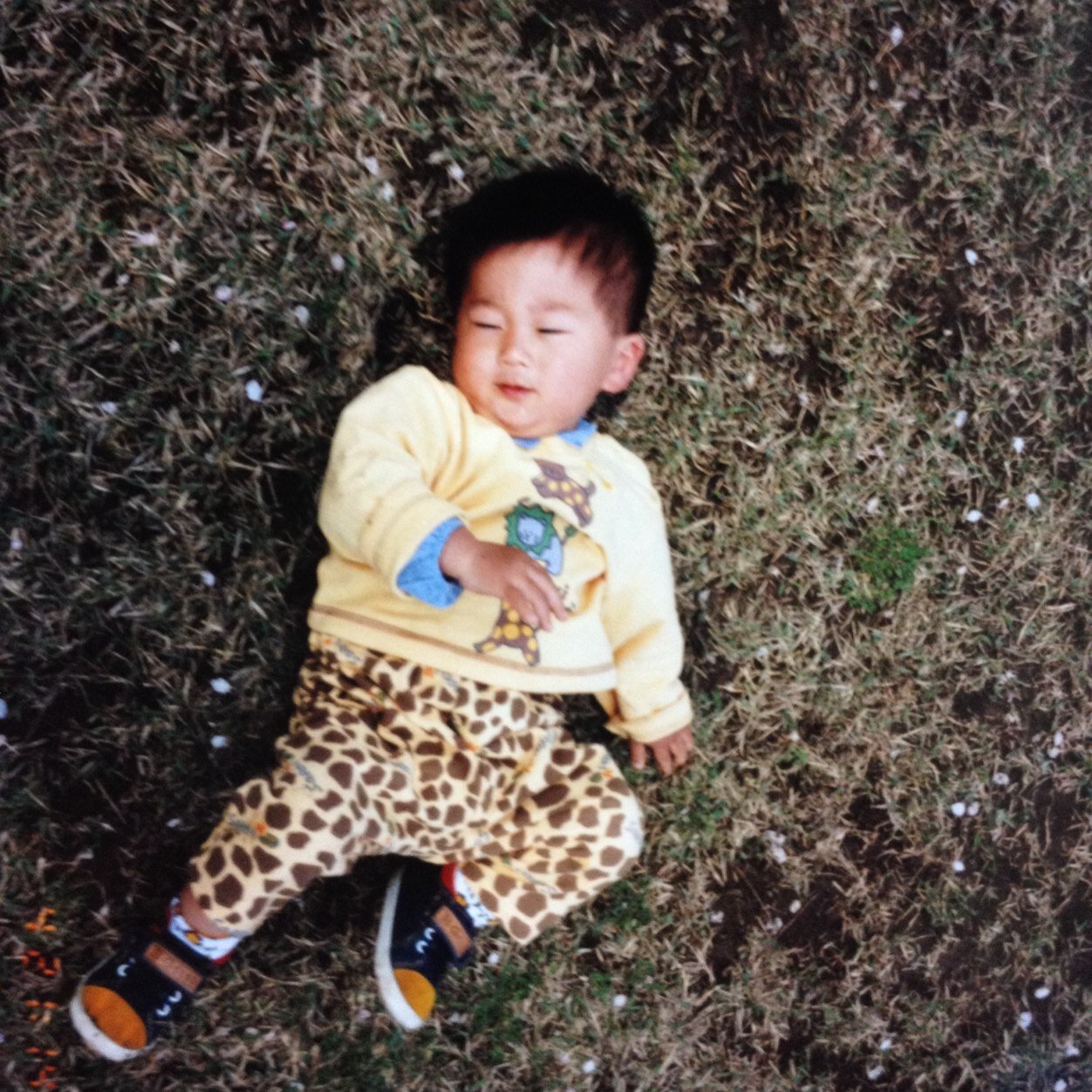 dp7kc4tfsm's profile picture. 宮城→東京→茨城