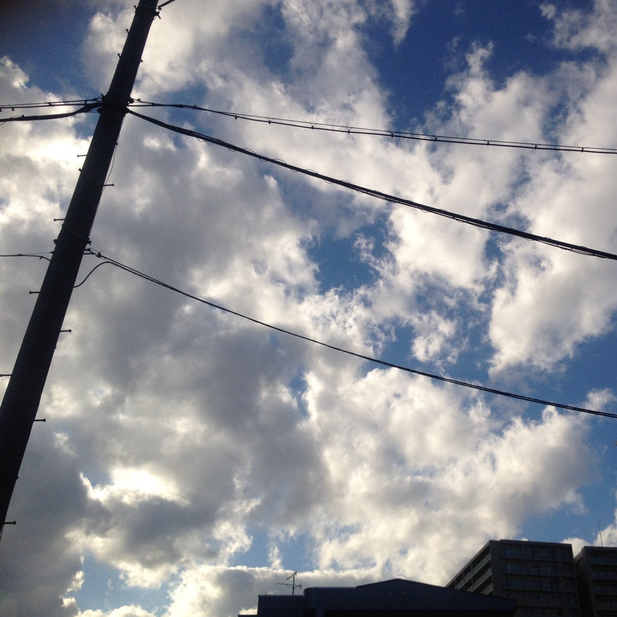 っっf Bio George Bot Twitter