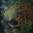 Rauloser's profile image