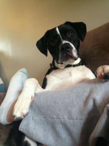 MeganStokes001's profile picture. 