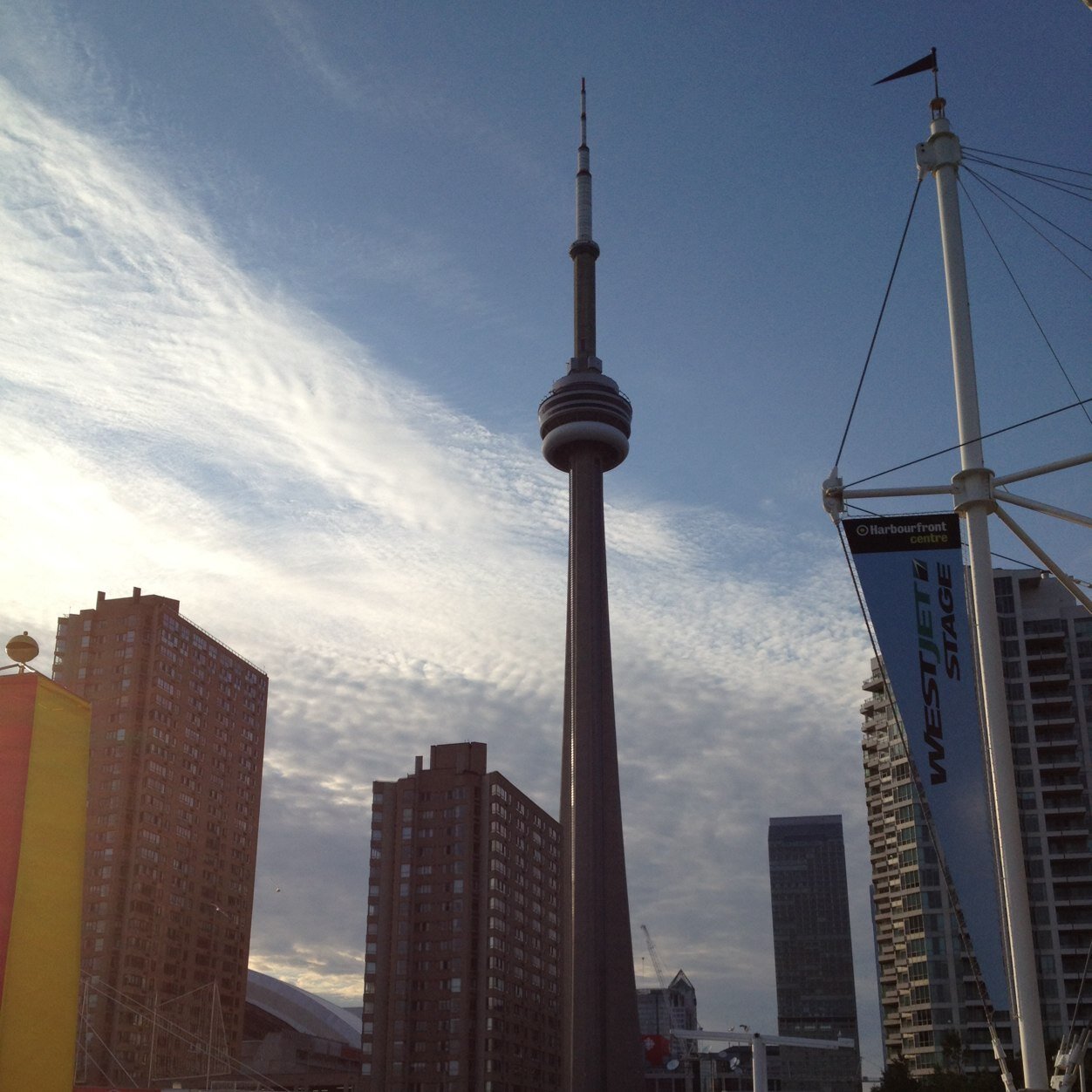 mattziabari's profile picture. 