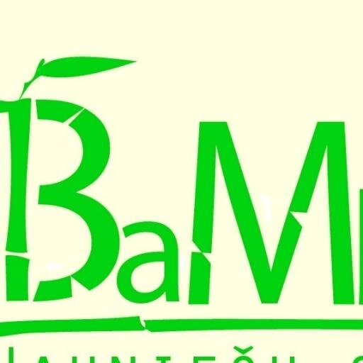Jauniešu studija „BaMbuss” ir daudzfunkcionāla, organiska, atraktīva un progresīva vieta jauniešiem.