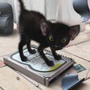 Rich Saunders - @saunds86 - Twitter