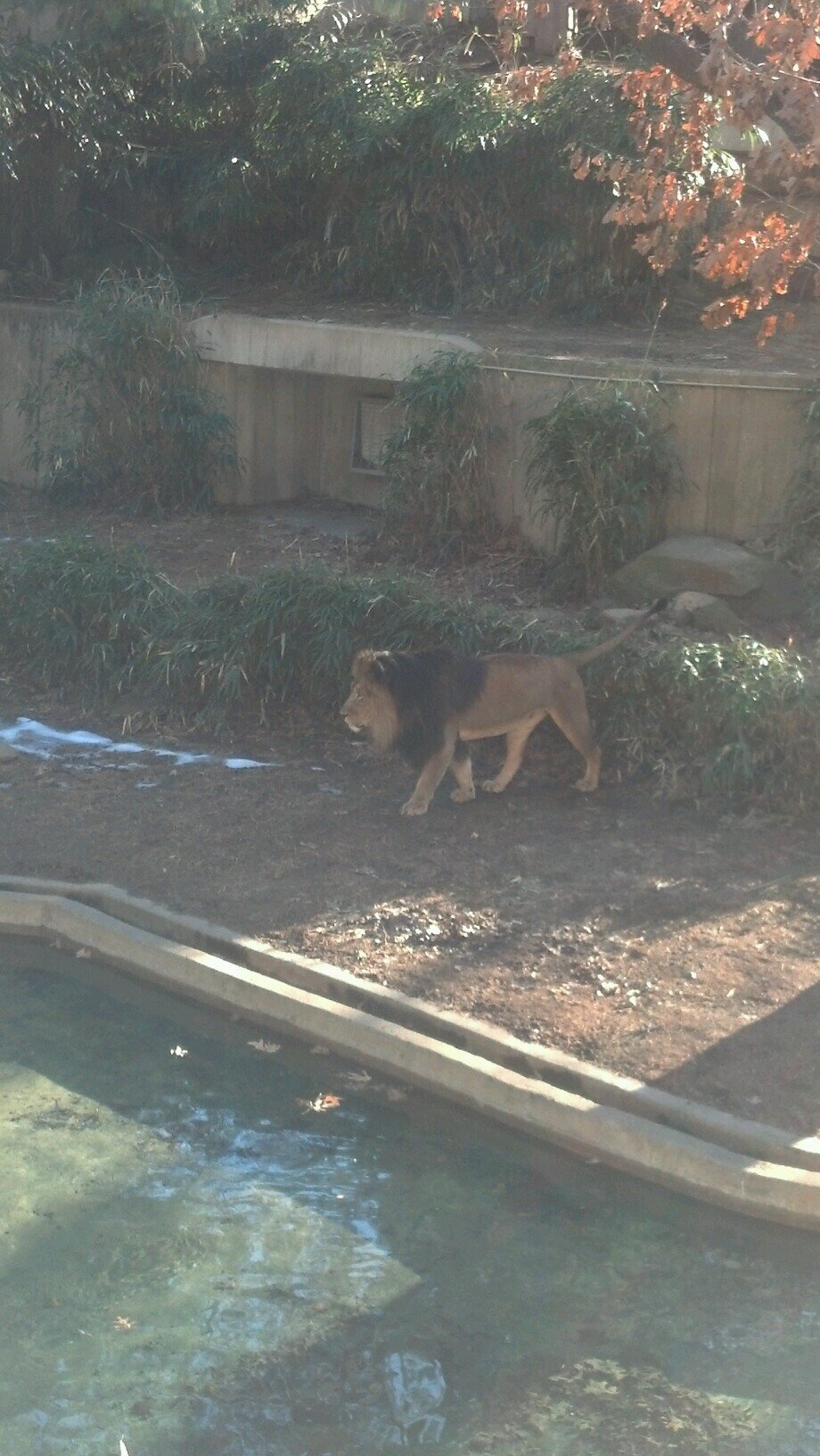 primepreddie's profile picture. 