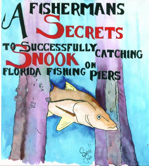 My book can now be purchased and downloaded on amazon.com for $2.99 . Type in A Fisherman's Secrets To Successfully Catching Snook On Florida Fishing Piers.
