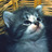 sabriw1's profile image
