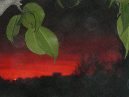 dragonstock's profile picture. Improviser @ https://t.co/8RYZSLULJY
 / One time Producer. .