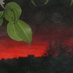 Dragonstock (@dragonstock) Twitter profile photo
